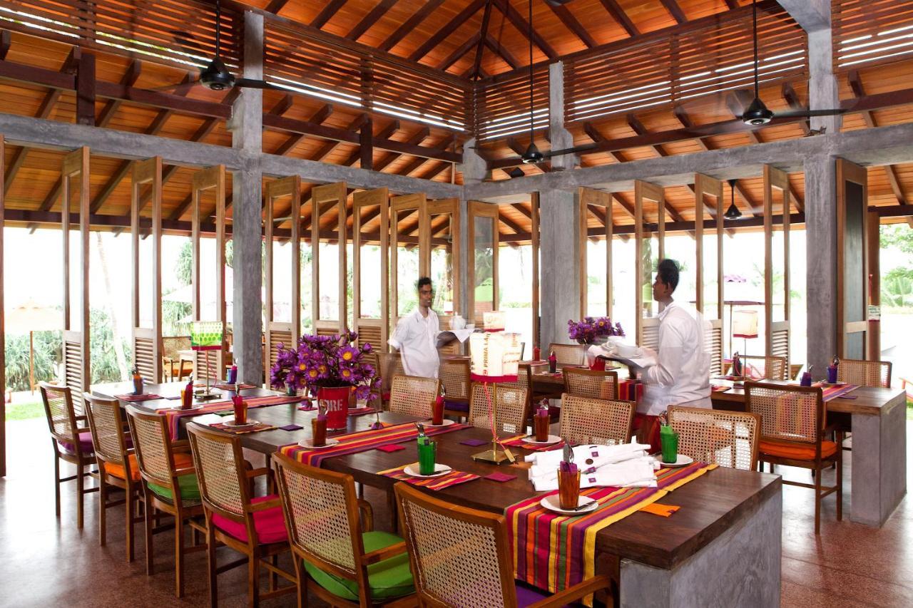 Utmt - Underneath The Mango Tree Spa & Beach Resort Dikwella Exteriör bild