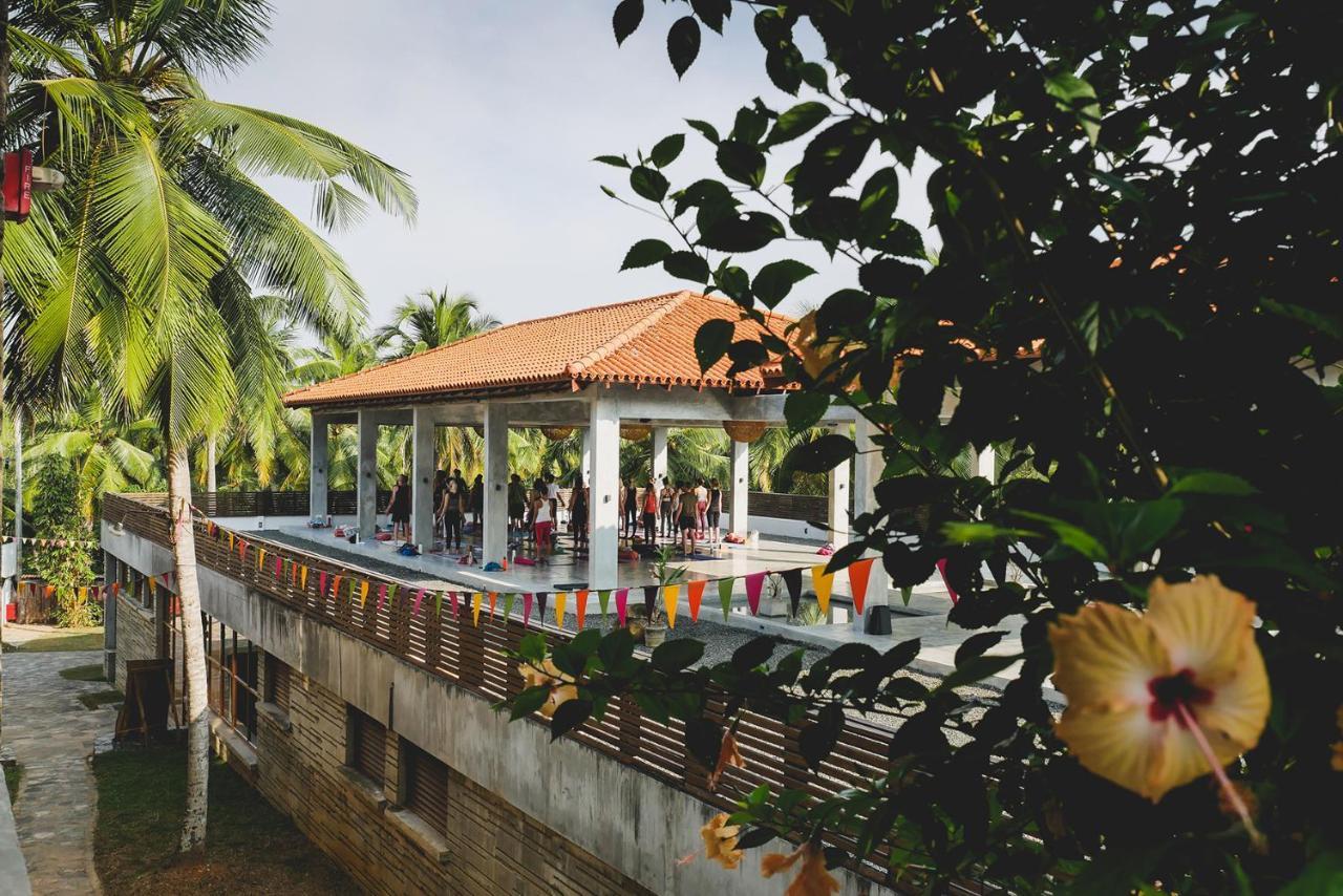 Utmt - Underneath The Mango Tree Spa & Beach Resort Dikwella Exteriör bild